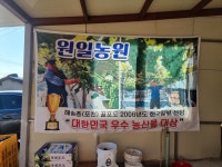 원일농원 포도밭