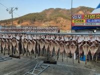 유한회사 진영농수산 | 진영수산