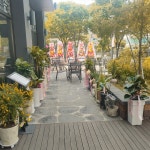 맥주를구한피자 오슬로파크양산점