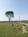 행복한동행 태권도 용인대ACE교육관