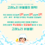 고래노리키즈풀 워터룸