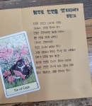 초이스타로&사주