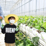 농업회사법인 그린몬스터즈