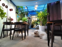 카페 꽃길 무안일로점