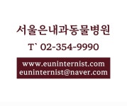 서울은내과동물병원