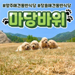 마당바위 장흥본점