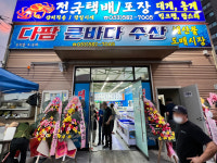 다팜큰바다수산