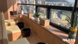 자강한방병원 안양평촌