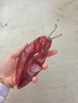 병철이네농장