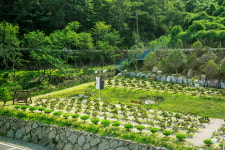 하늘소풍