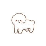 제이앤비 (JNB)