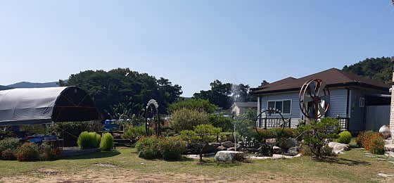 바람개비 사진