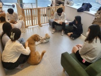 허그미