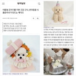 펫반