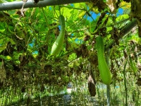 문일한우촌 오크벨리점