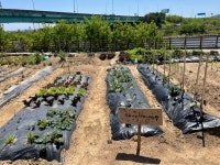 권씨네 주말농장