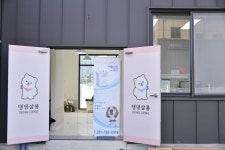 댕댕살롱