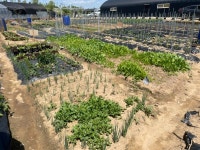 권씨네 주말농장