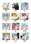 솔빈마루 고양이카페