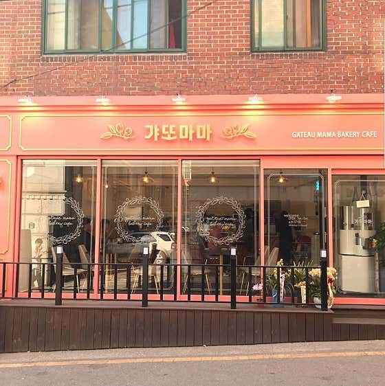 갸또마마 사진