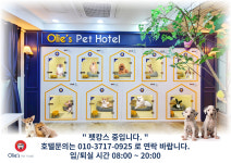 올리스 양산점
