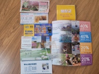 대관령요들레이펜션