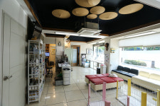 메디펫동물병원