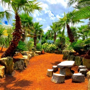 어린왕자감귤밭의_야외공간모습