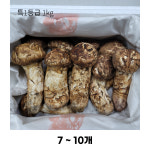 자연농원송이