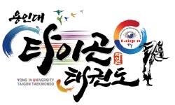 용인대타이곤태권도장