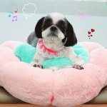 까까요dog