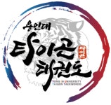 용인대타이곤태권도장