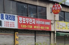 명보부란자