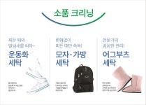 크린토피아 코인워시 청주봉명점