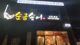 순금송어