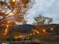 합천라온오토캠핑장