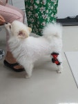 워크앤런