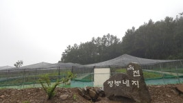 옥천지네농장