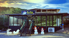 콩닭콩닭
