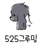525그루밍