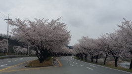 합천라온오토캠핑장