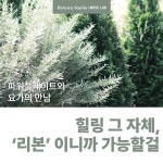 리본스튜디오 파워플레이트 & 무브랩