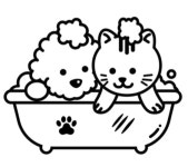 쿵이네펫세상