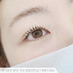 메종드래쉬