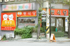 펫식당, 애견용품 애견미용