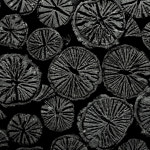 갓돈 서귀포중문점