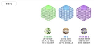 그린F5 부산수영본부