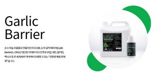 그린F5 부산수영본부