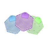 그린F5 부산수영본부