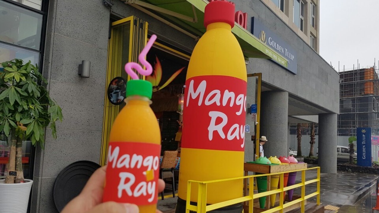 망고레이 함덕본점